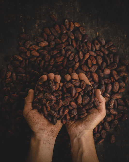 My love letter to cacao...